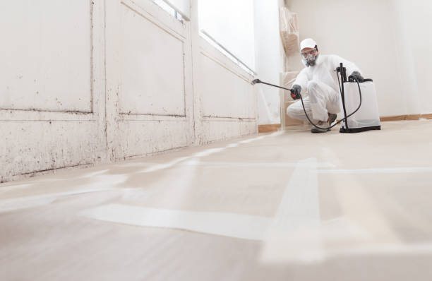 24/7 Emergency Commercial Mold Remediation experts in Shawboro, NC